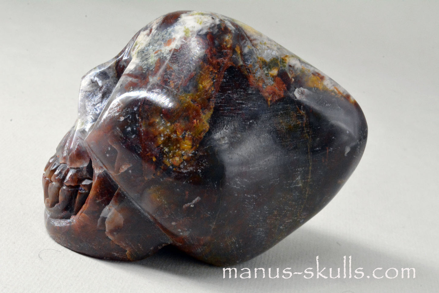 PIETERSITE Toothless SKULL .....