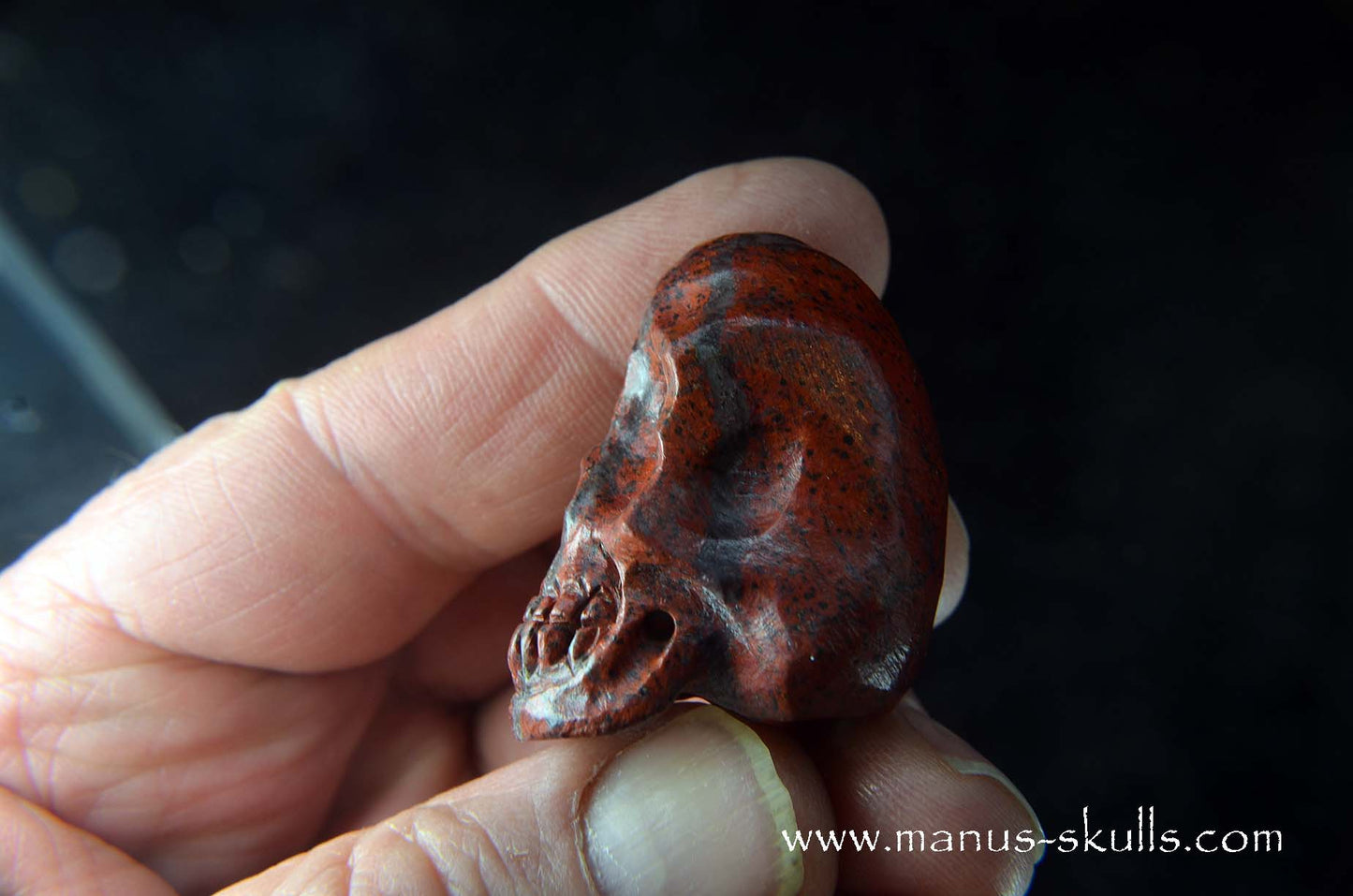 Sonora Sunrise Baby Skull