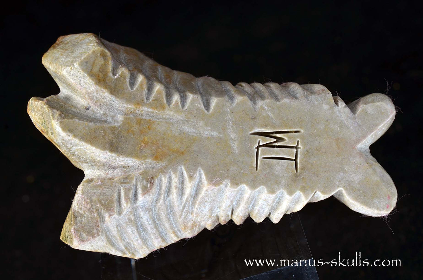 Sarsens stone Dragon (Stonehenge Stone)