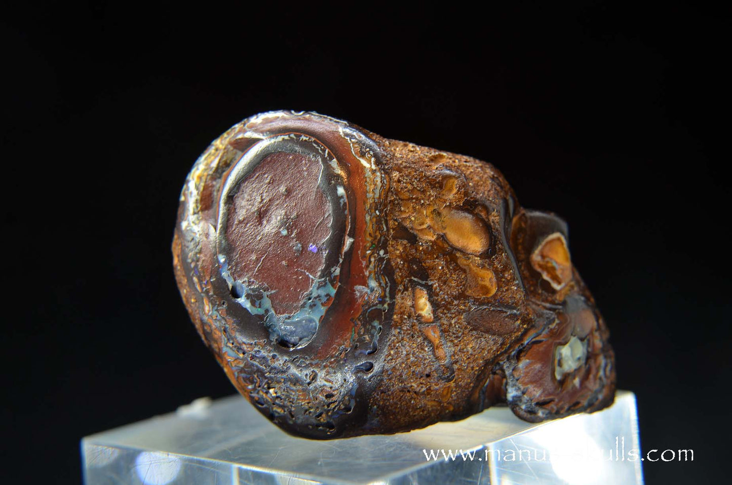 Yowah Nut Opal Skull