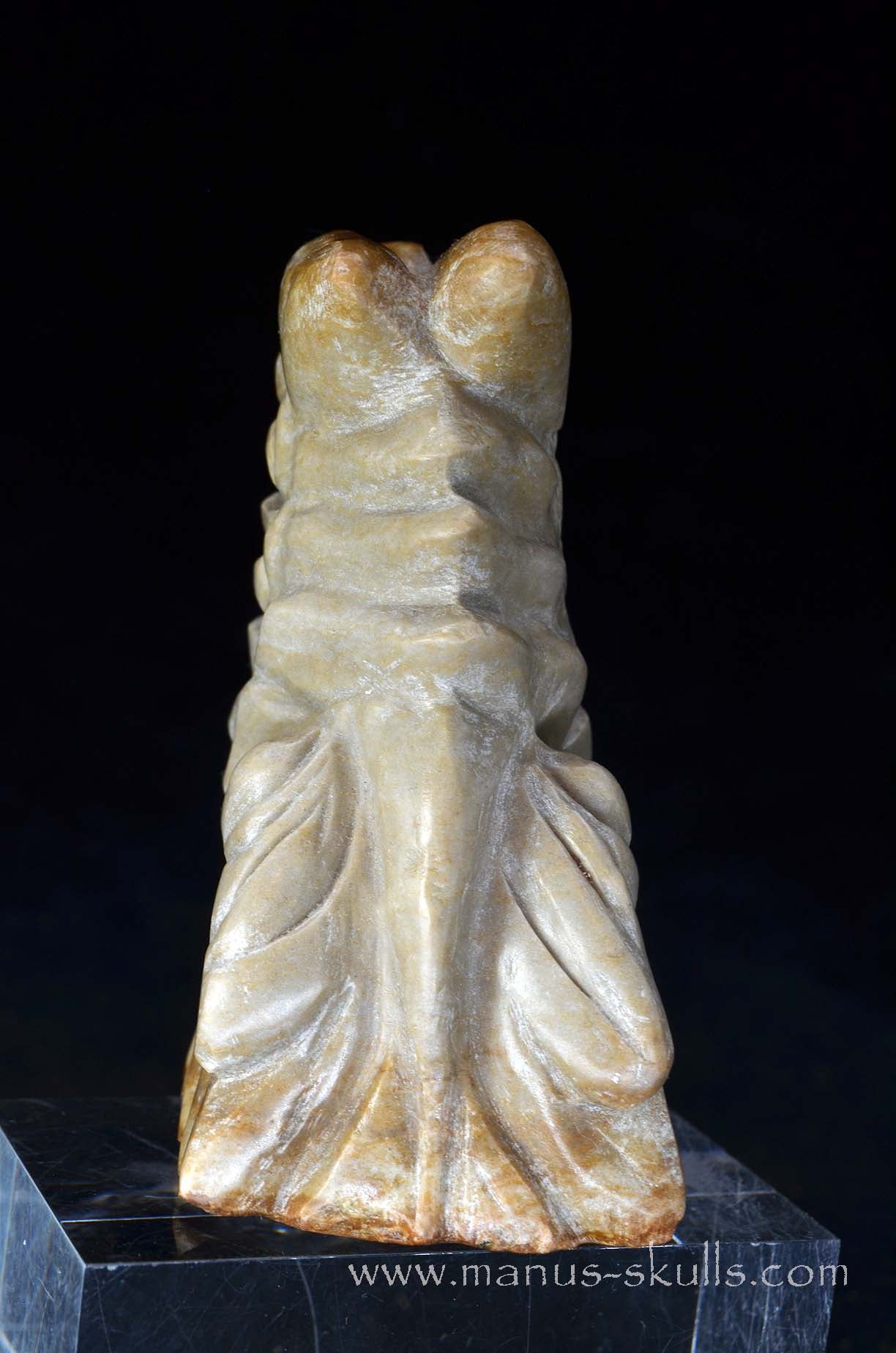 Sarsens stone Dragon (Stonehenge Stone)