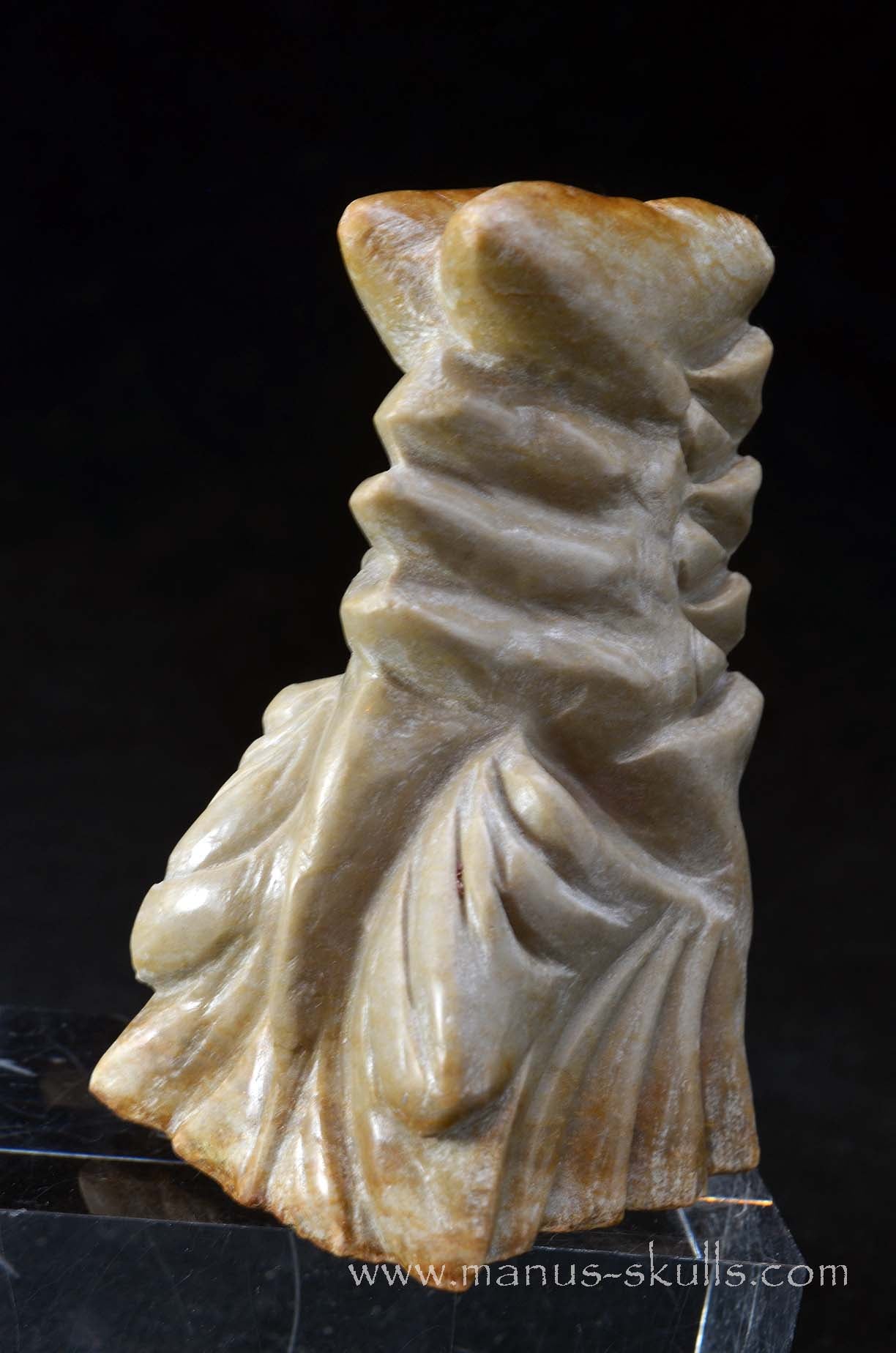 Sarsens stone Dragon (Stonehenge Stone)