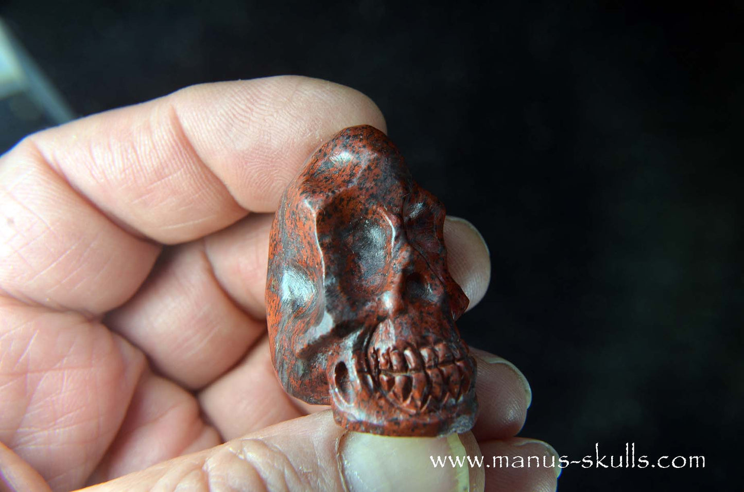 Sonora Sunrise Baby Skull