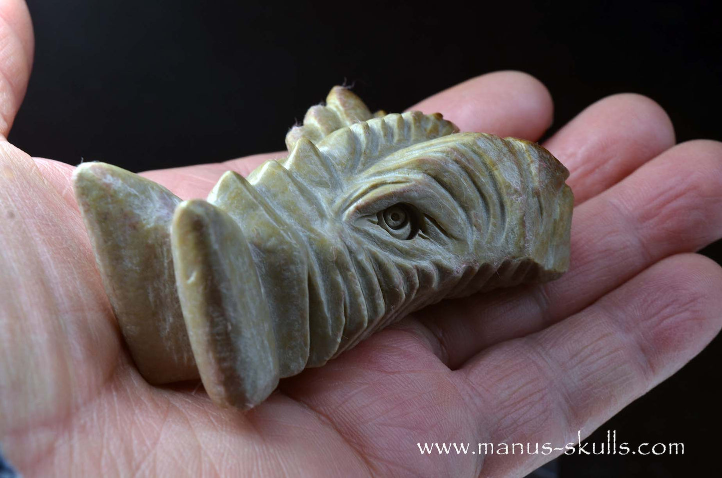 Sarsens stone Dragon (Stonehenge Stone)