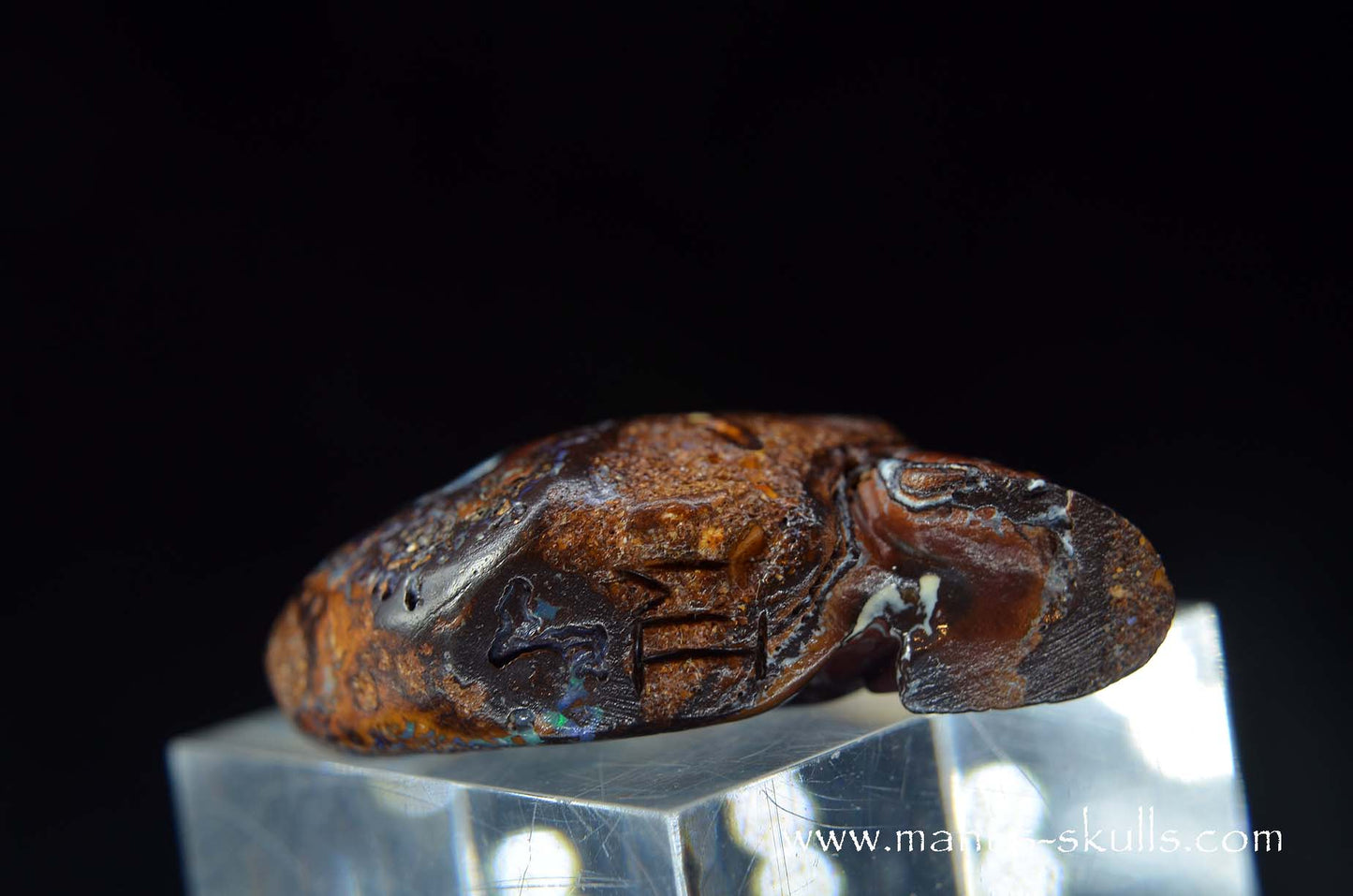Yowah Nut Opal Skull