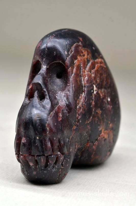 Garnet Manus Skull