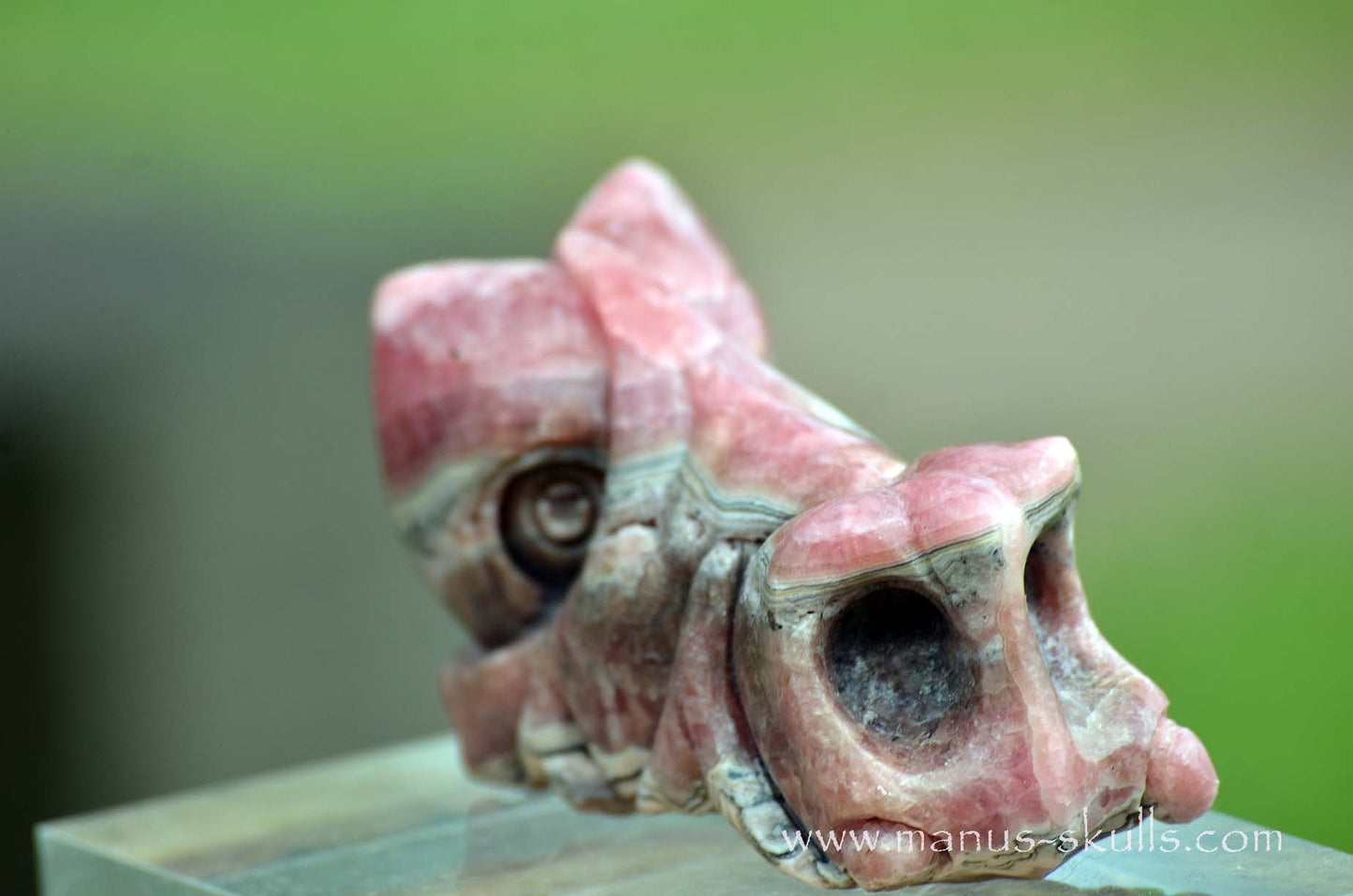 Rhodochrosite Dragon