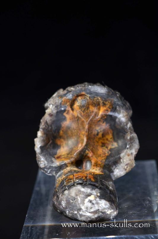 Manus skulls unique Crystal Carvings handmade skulls dragons pendants preseli bluestone tribals spiritual meaning wand Unicorn .. agate geode Evolian