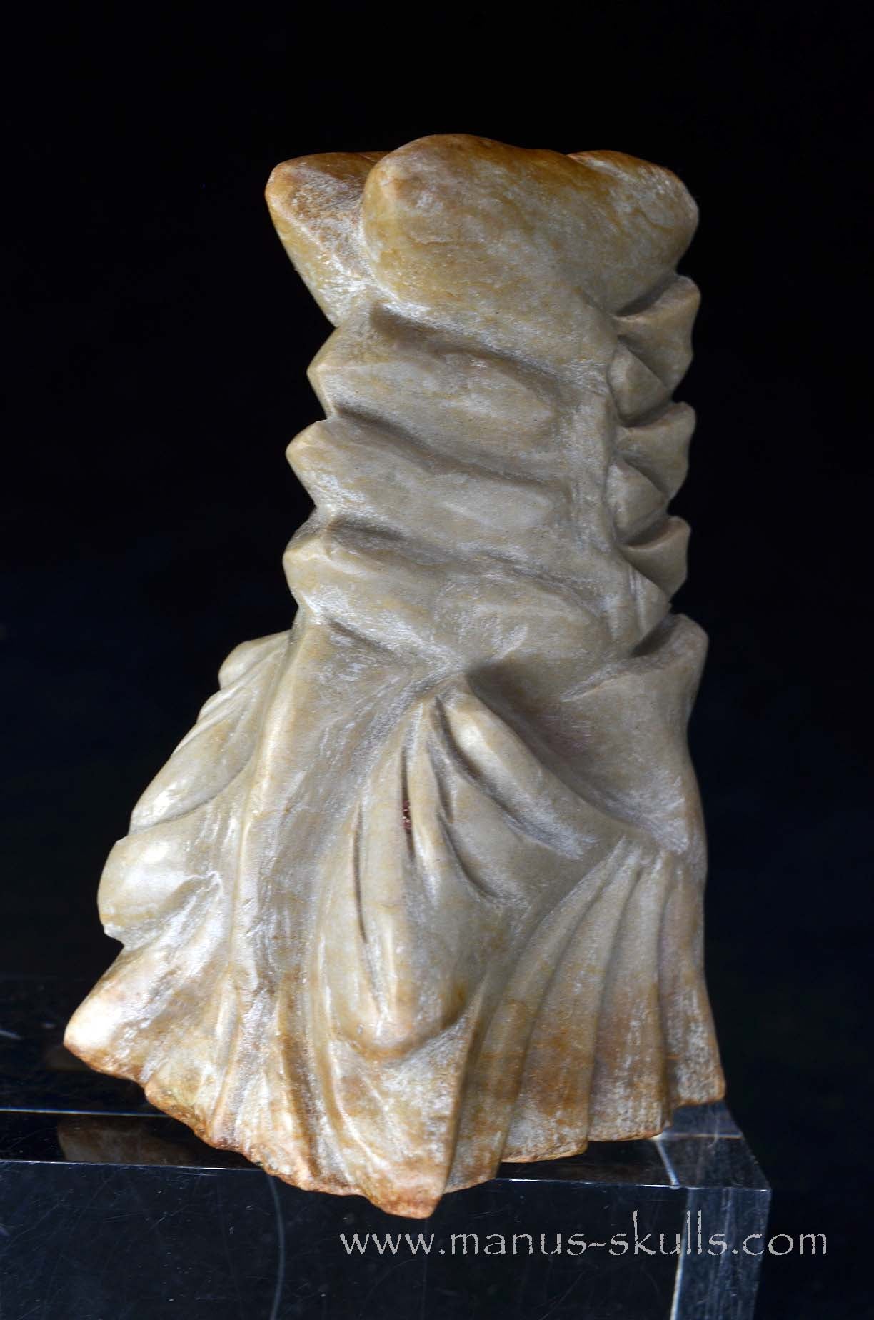 Sarsens stone Dragon (Stonehenge Stone)