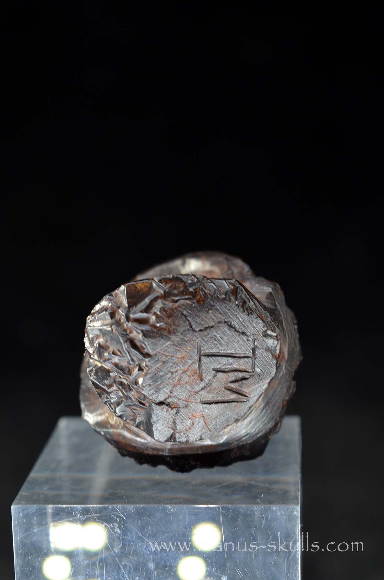 Prophecy Stone Evolian #01