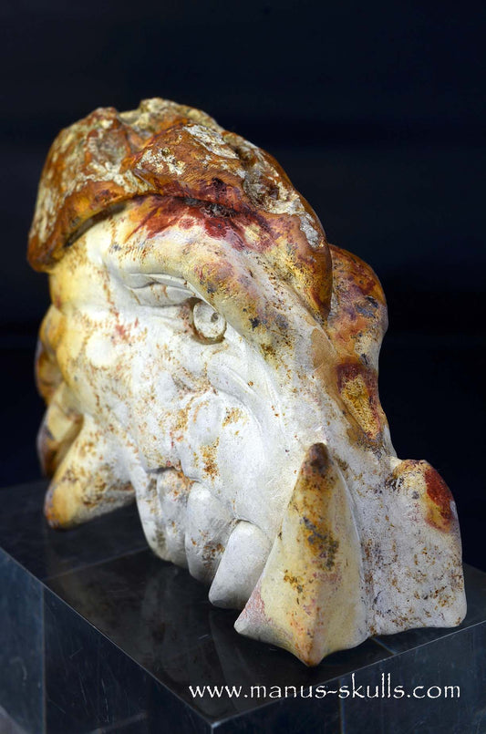 Petrified Coral Dragon