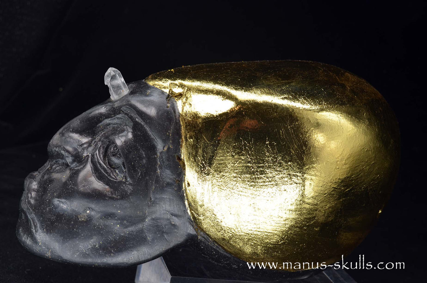 Star Light Being Skull  (Sen’tri)