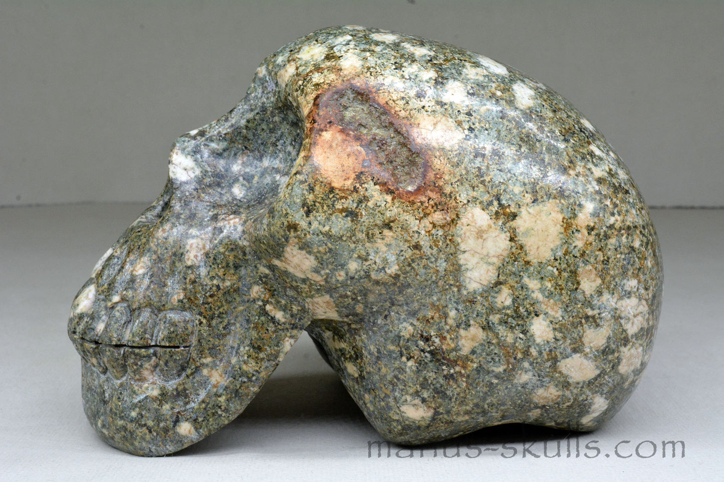 Large Preseli Bluestone Skull with Free Brainstem pendant!