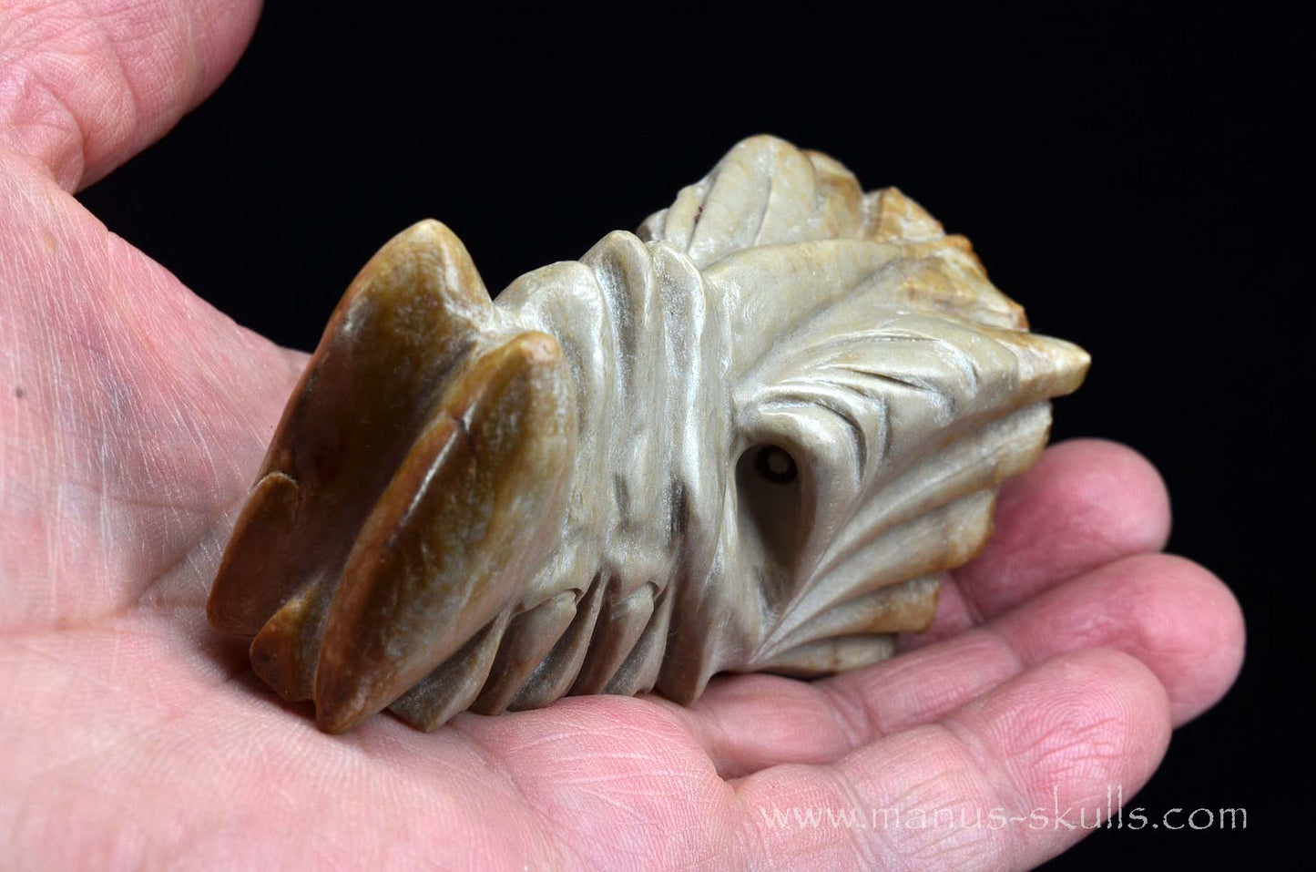 Sarsens stone Dragon (Stonehenge Stone)