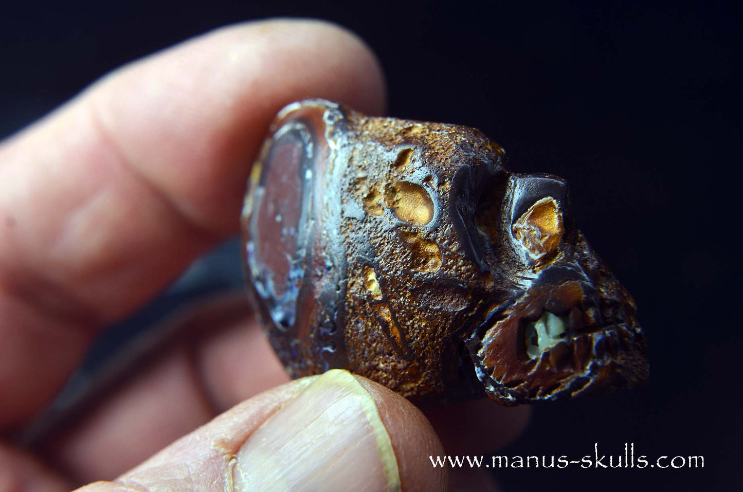 Yowah Nut Opal Skull