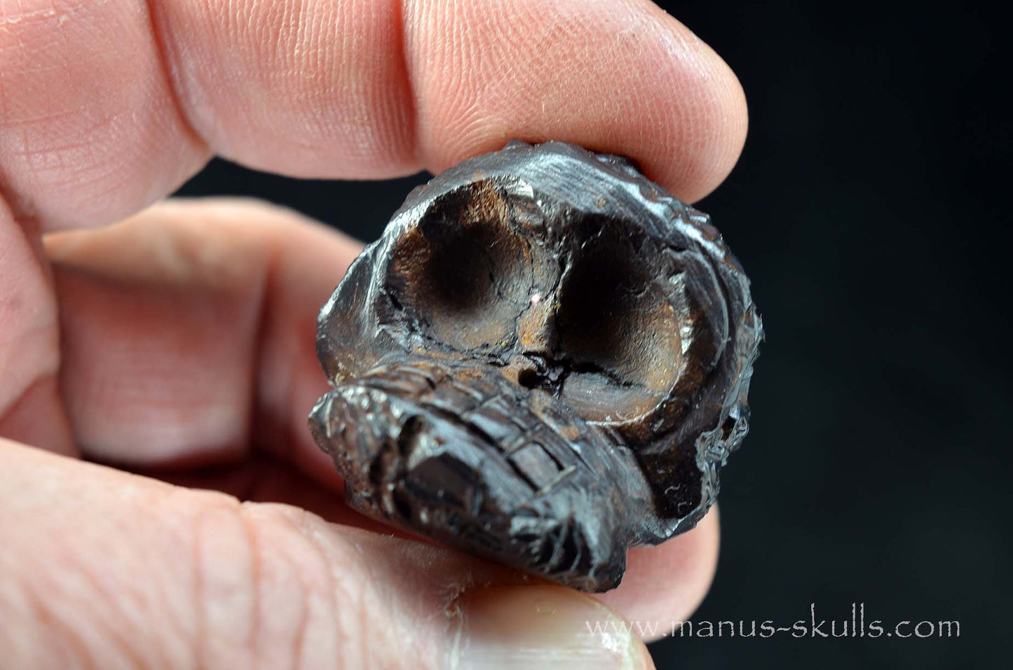 Prophecy Stone Evolian #01