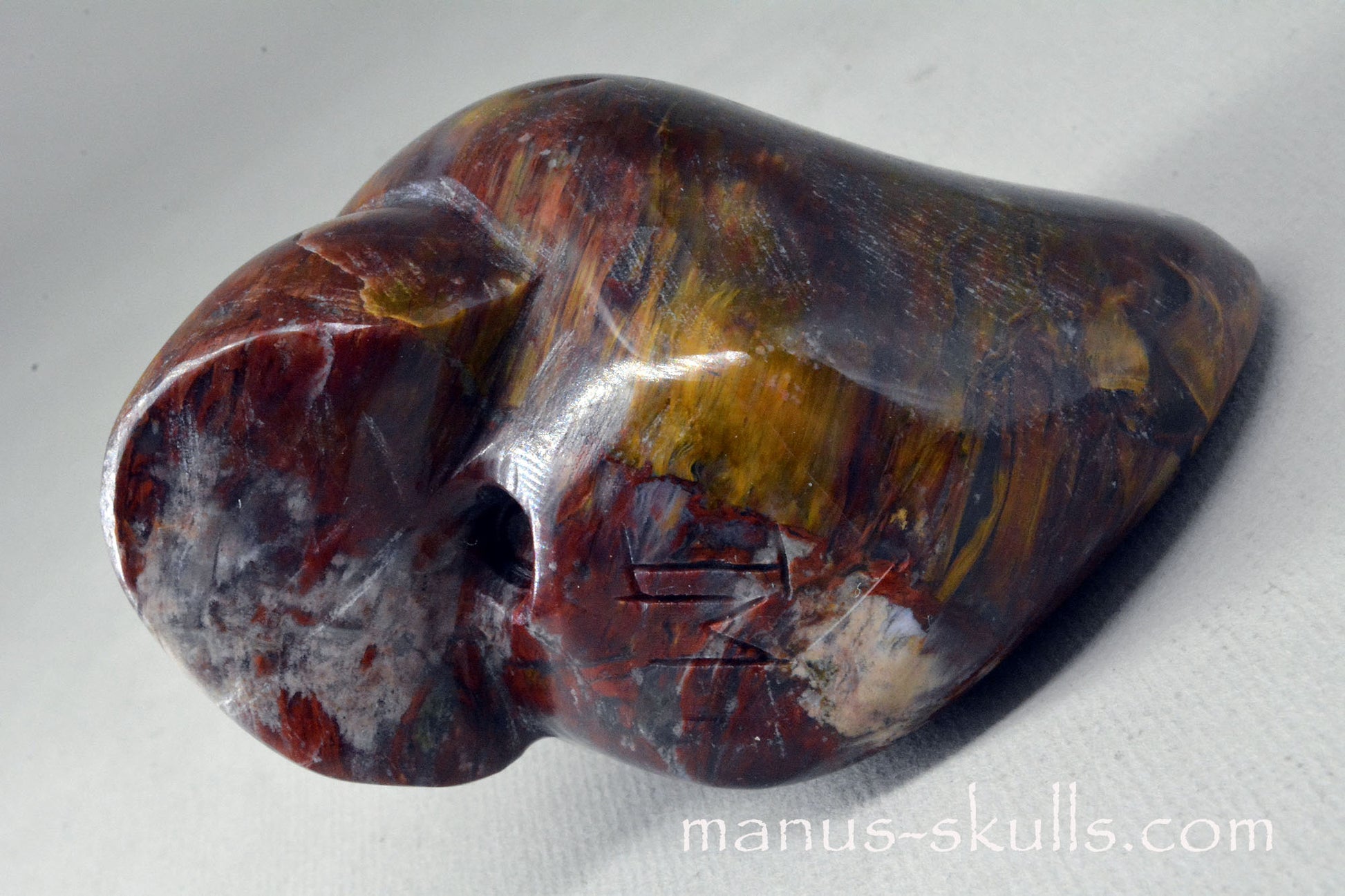 PIETERSITE Toothless Manus SKULL .....