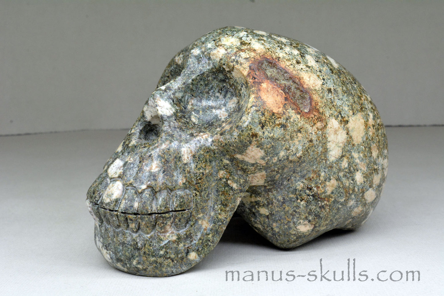 Large Preseli Bluestone Skull with Free Brainstem pendant!