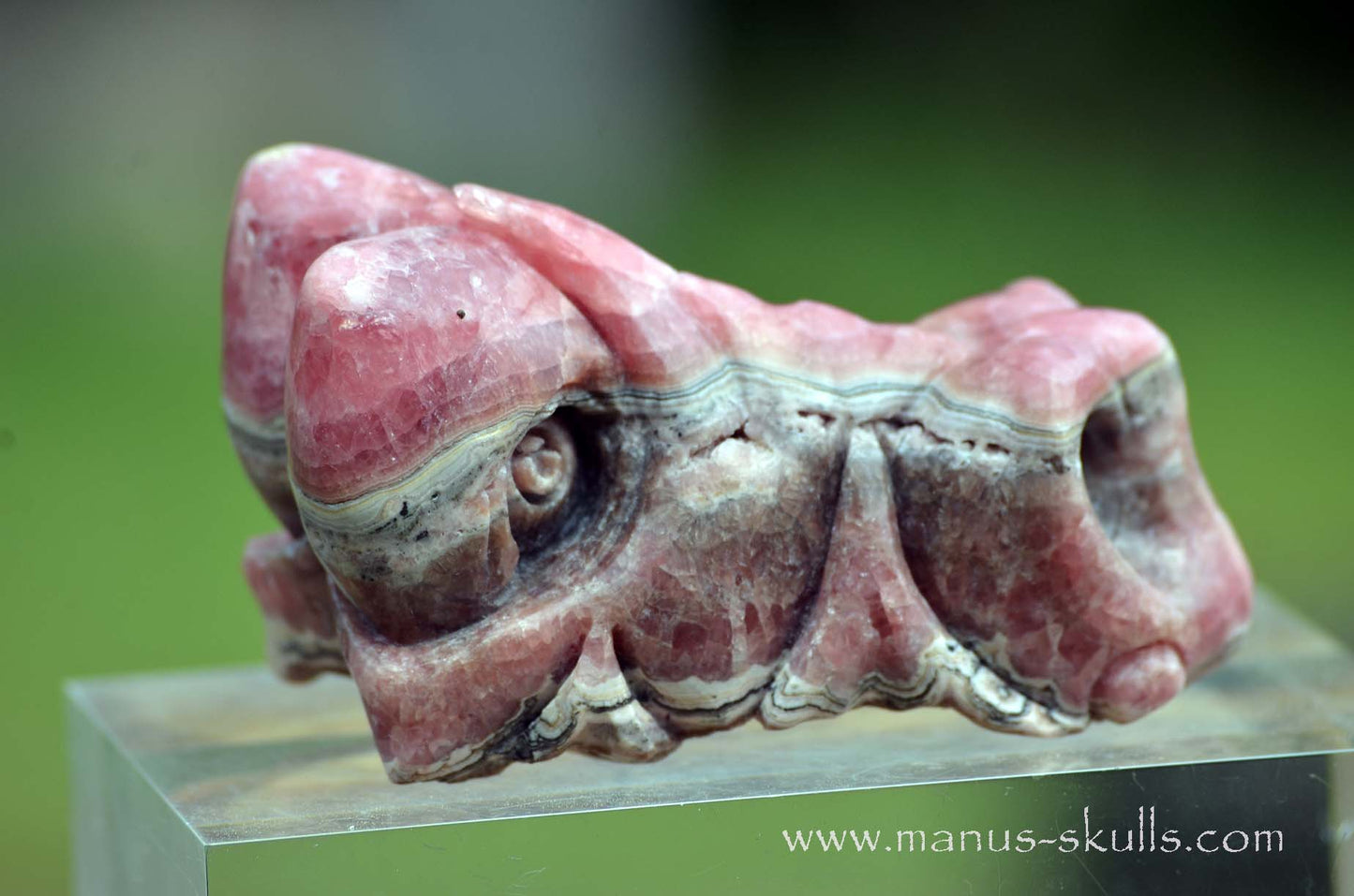 Rhodochrosite Dragon