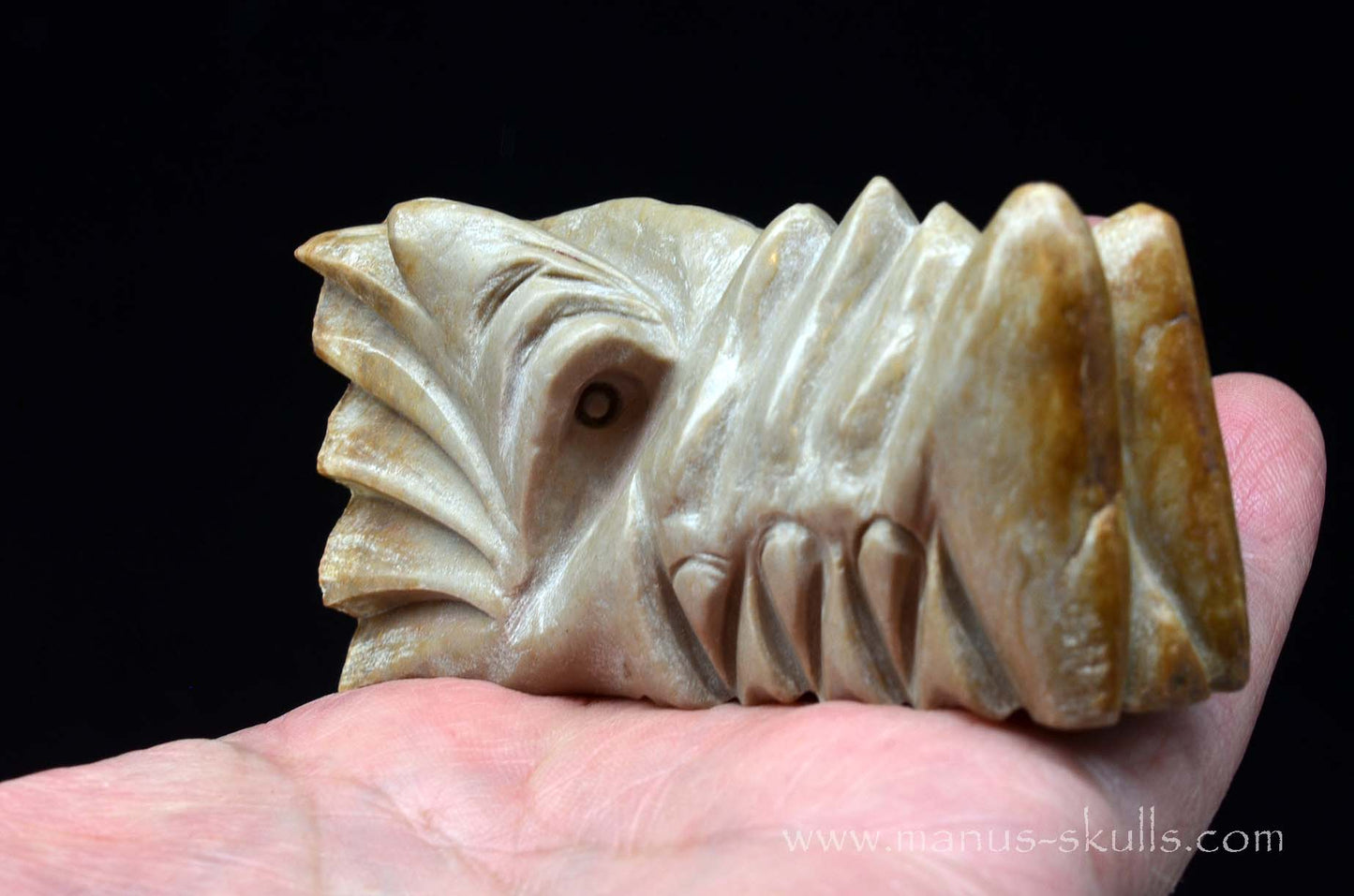 Sarsens stone Dragon (Stonehenge Stone)