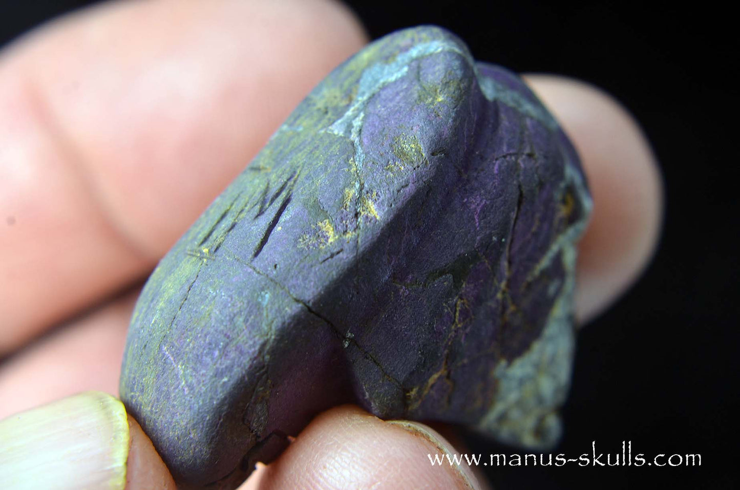 Purpurite Evolian #03