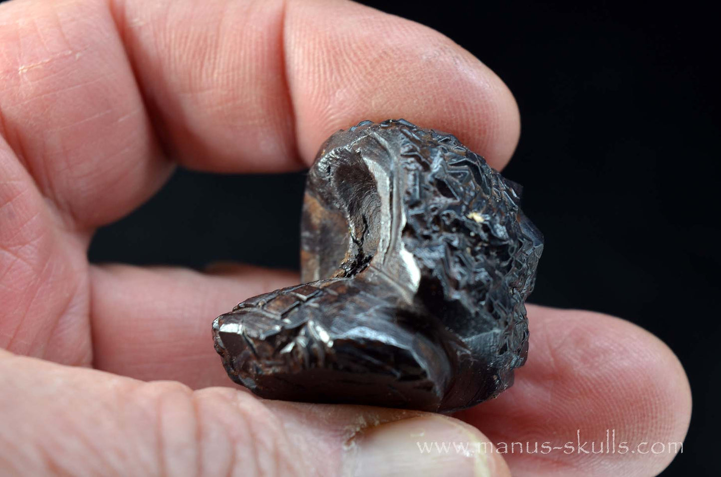 Prophecy Stone Evolian #01