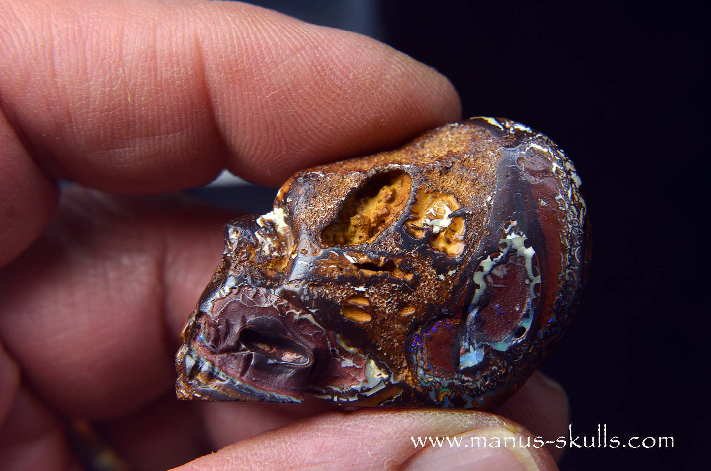 Yowah Nut Opal Skull