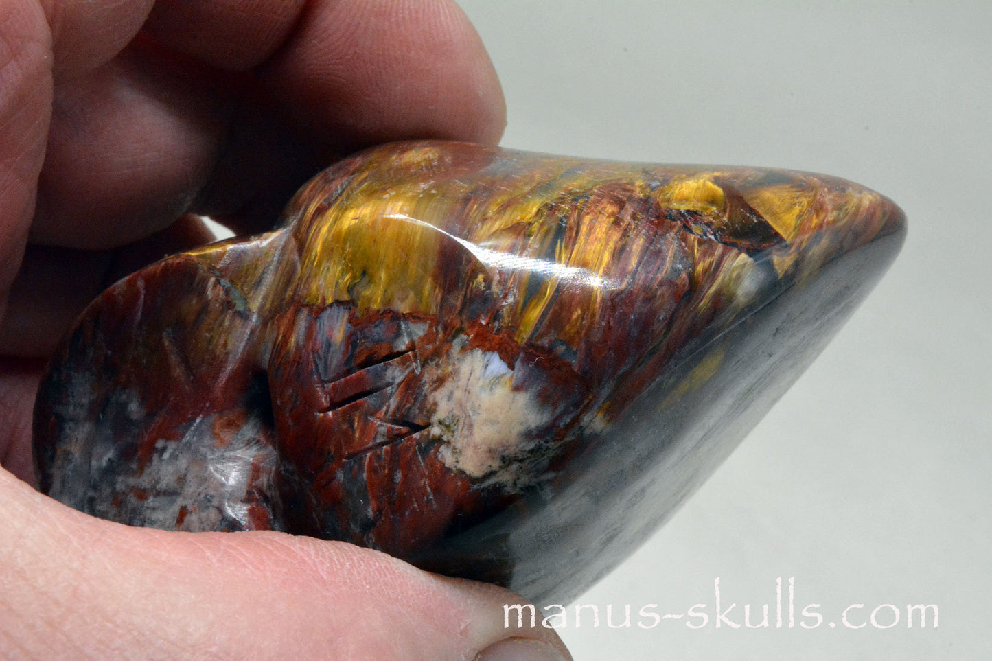 PIETERSITE Toothless Manus SKULL .....