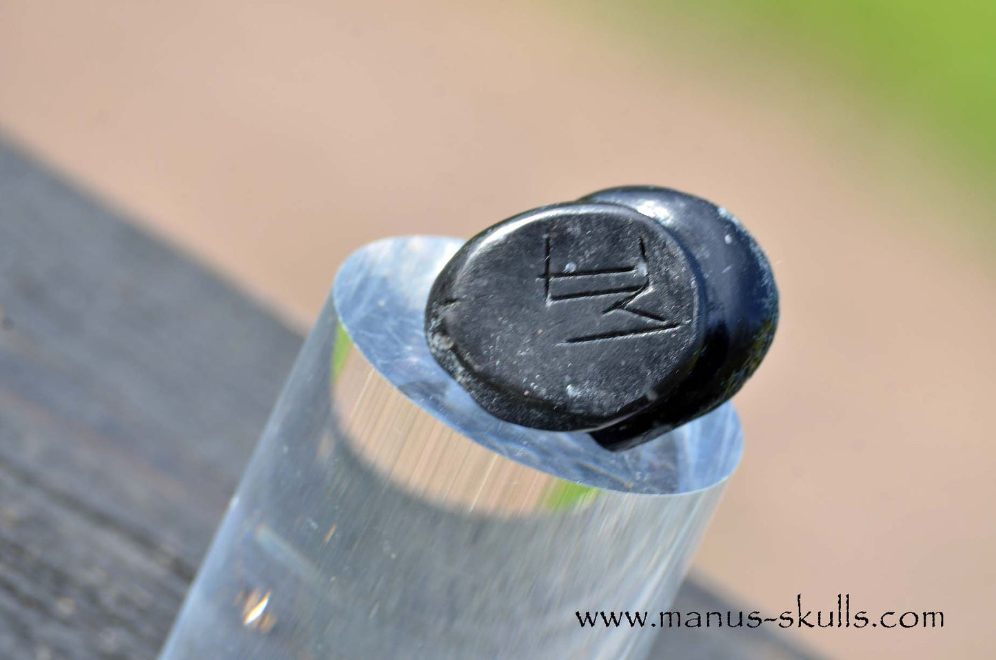 Agni Manitite Evolian #06