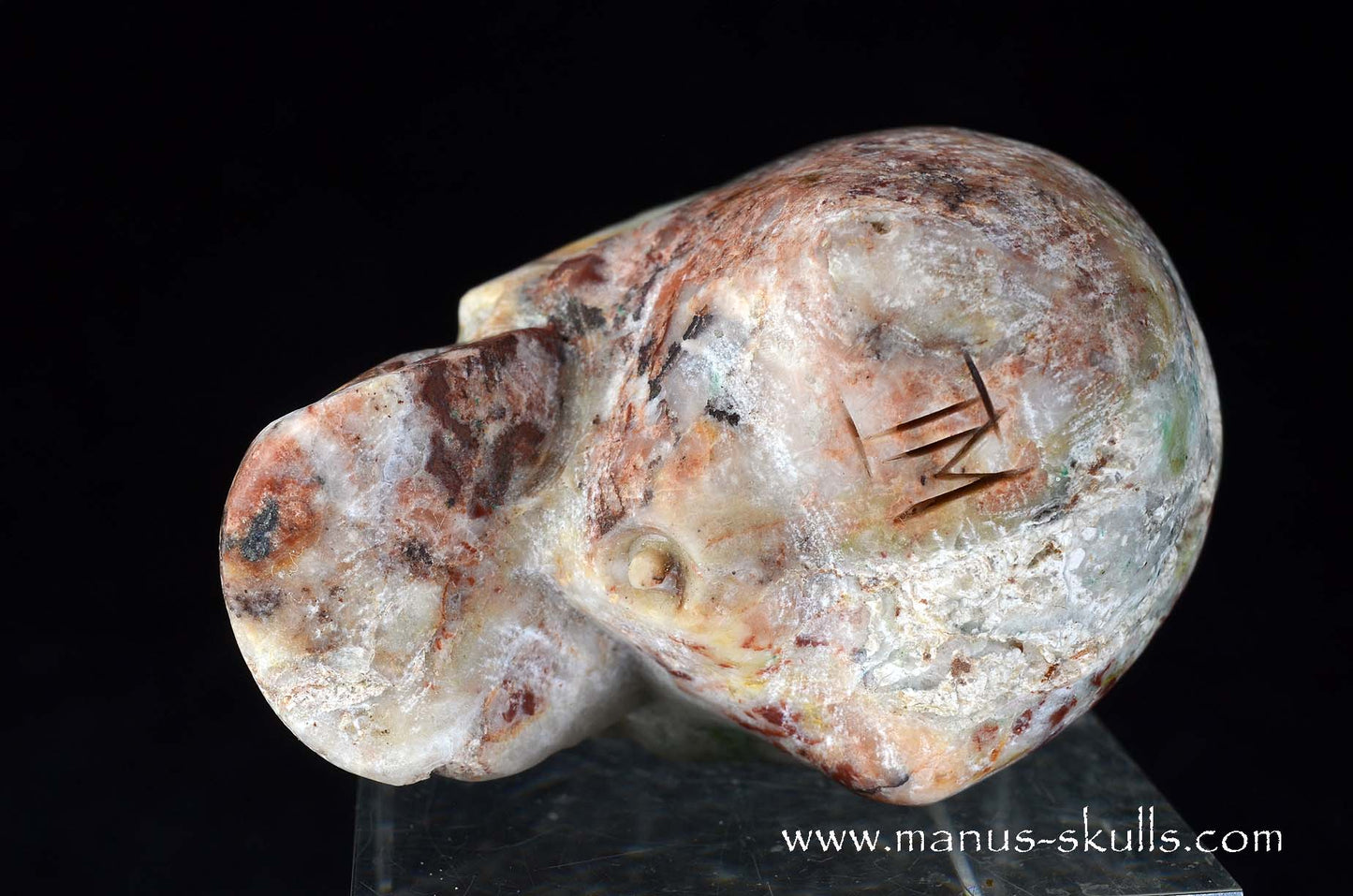 Fluorite in Barite Skull
