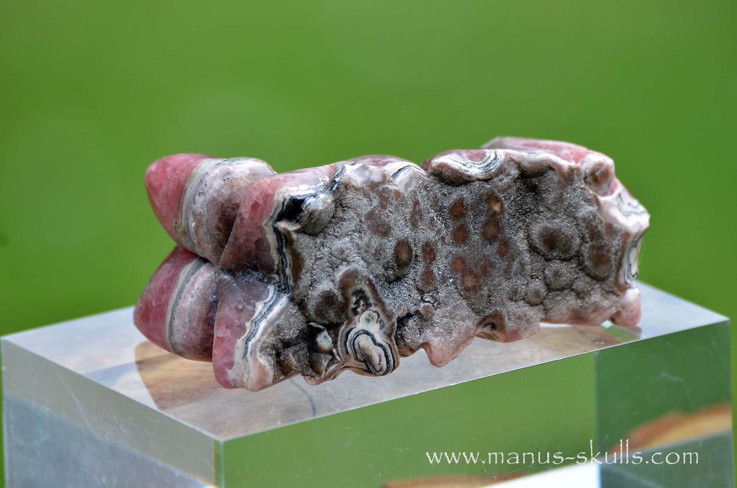 Rhodochrosite Dragon