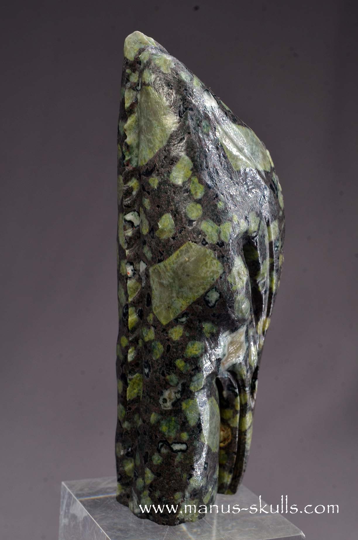 Lakelandite Bird .... Skull