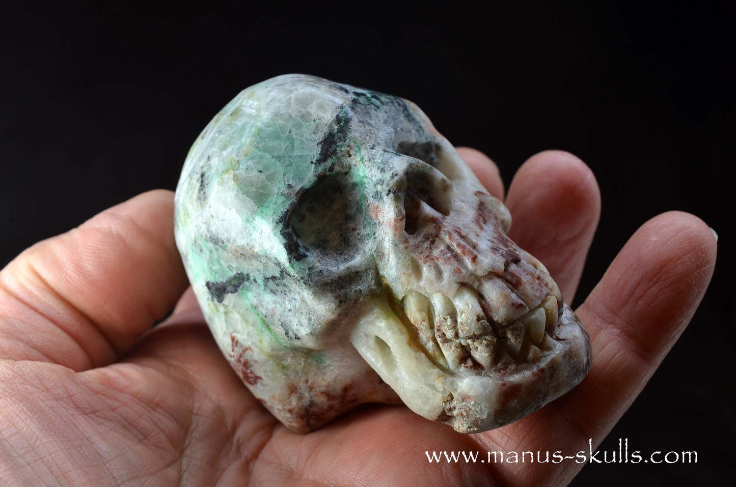 Fluorite in Barite Skull
