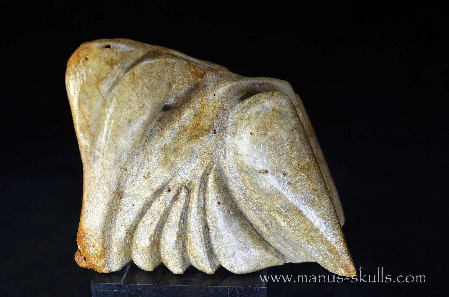 Sarsens Stone Dragon (Stonehenge Stone)