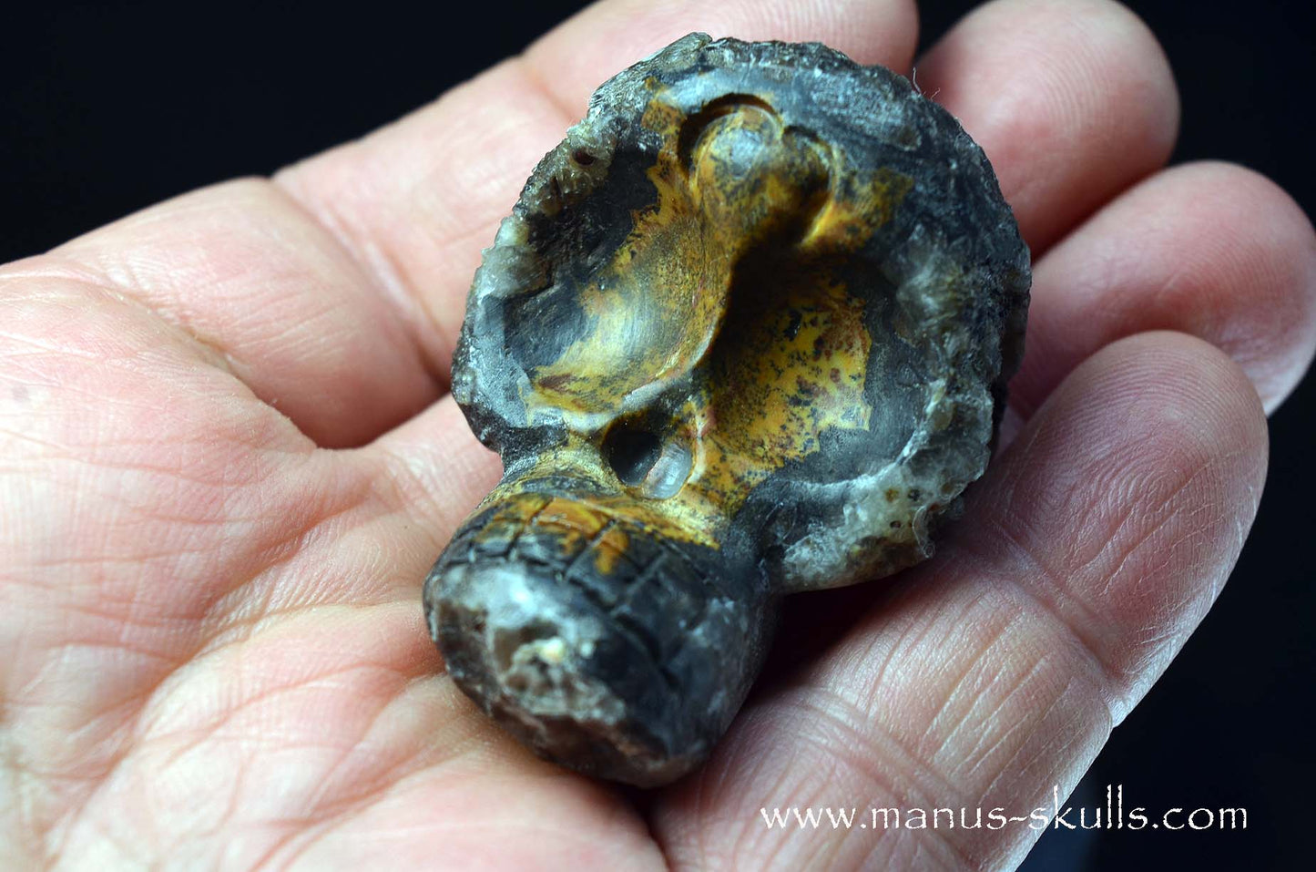 Agate Geode Evolian #07