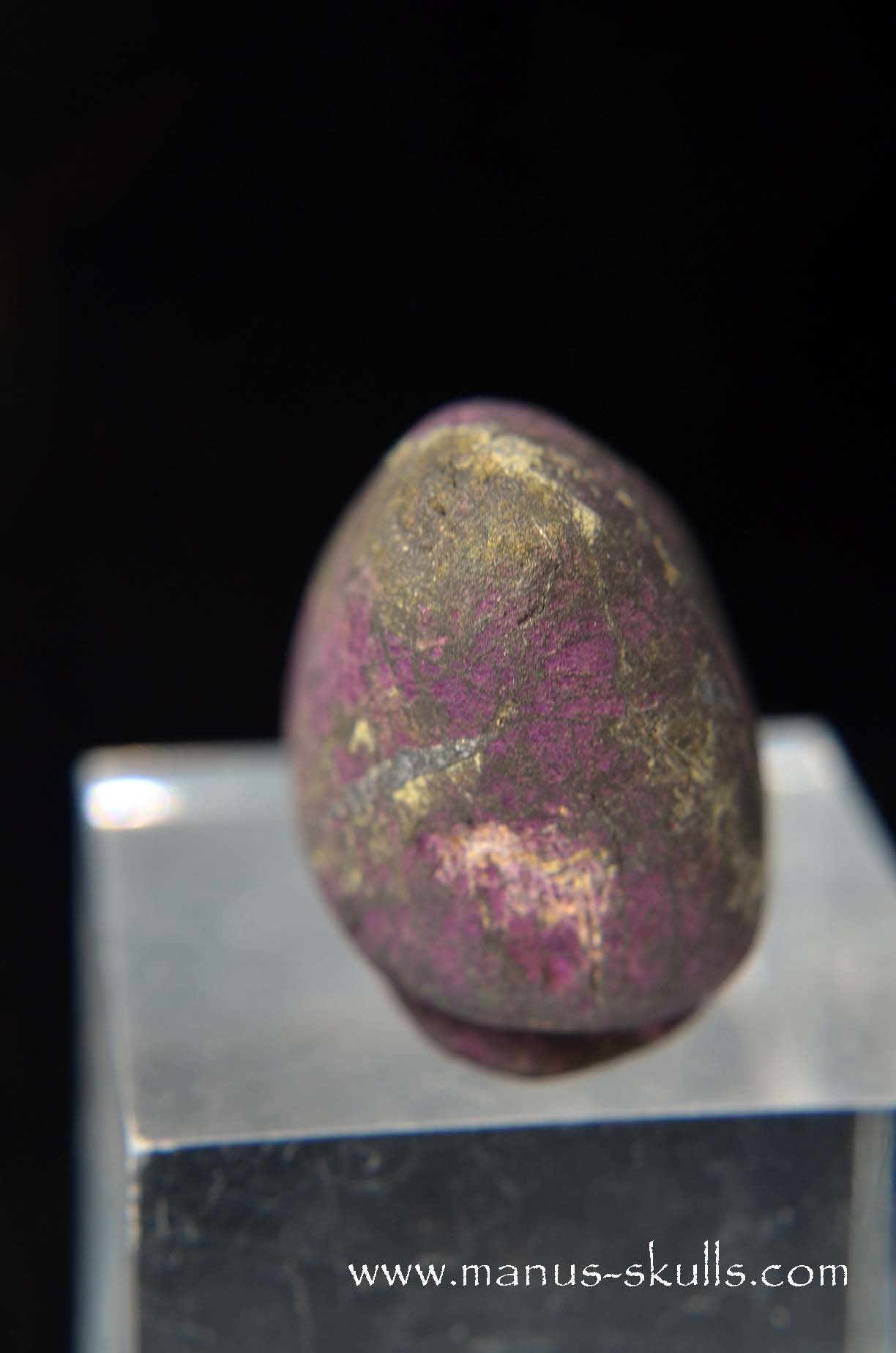 Purpurite Evolian #04