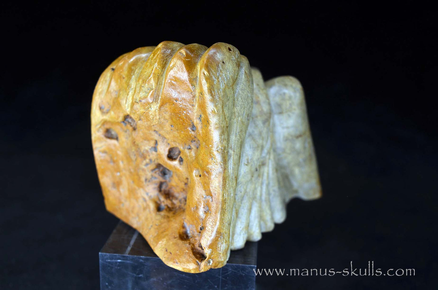 Sarsens Stone Dragon (Stonehenge Stone)