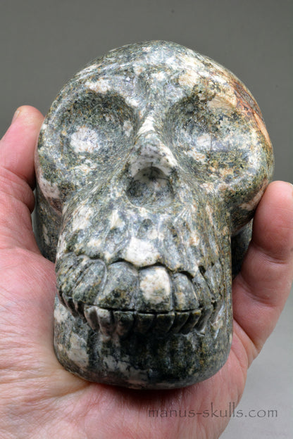 Large Preseli Bluestone Skull with Free Brainstem pendant!