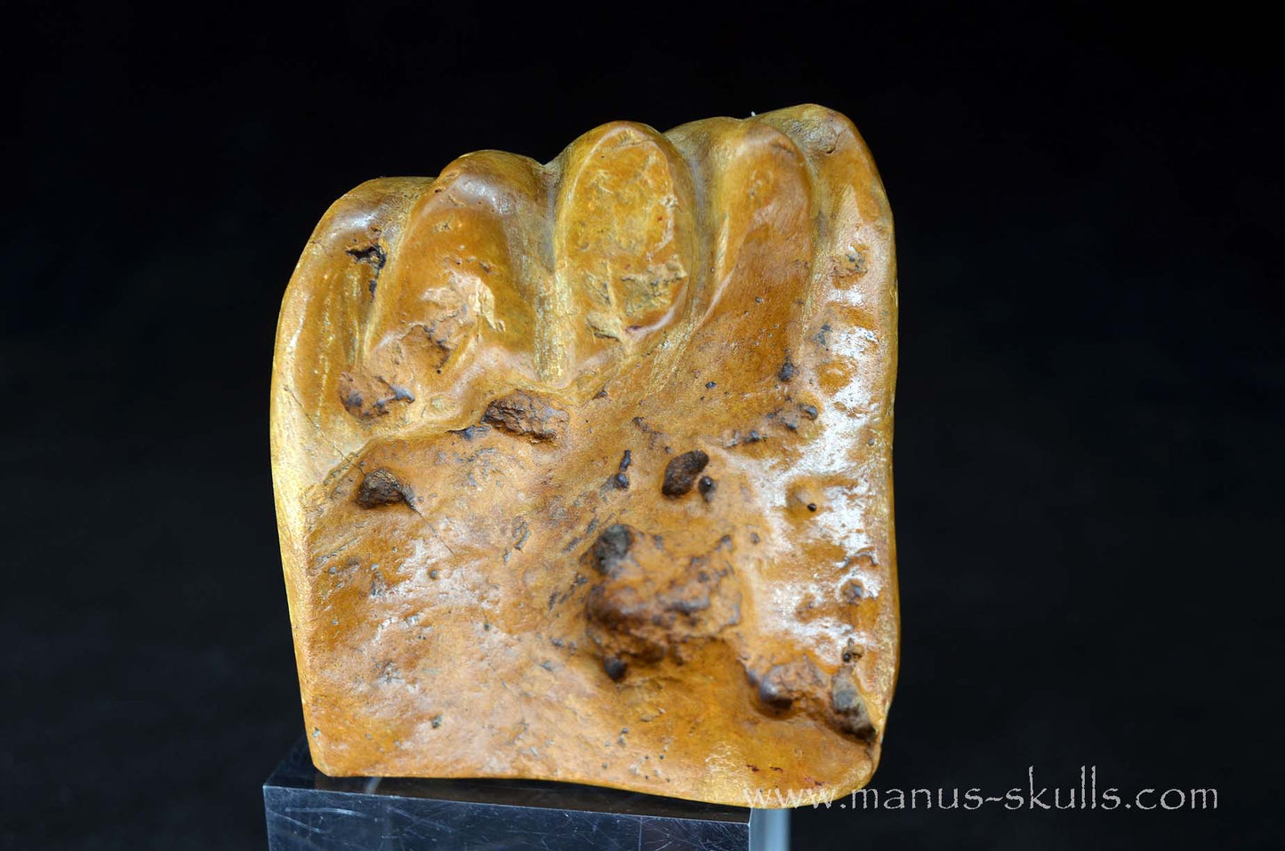 Sarsens Stone Dragon (Stonehenge Stone)