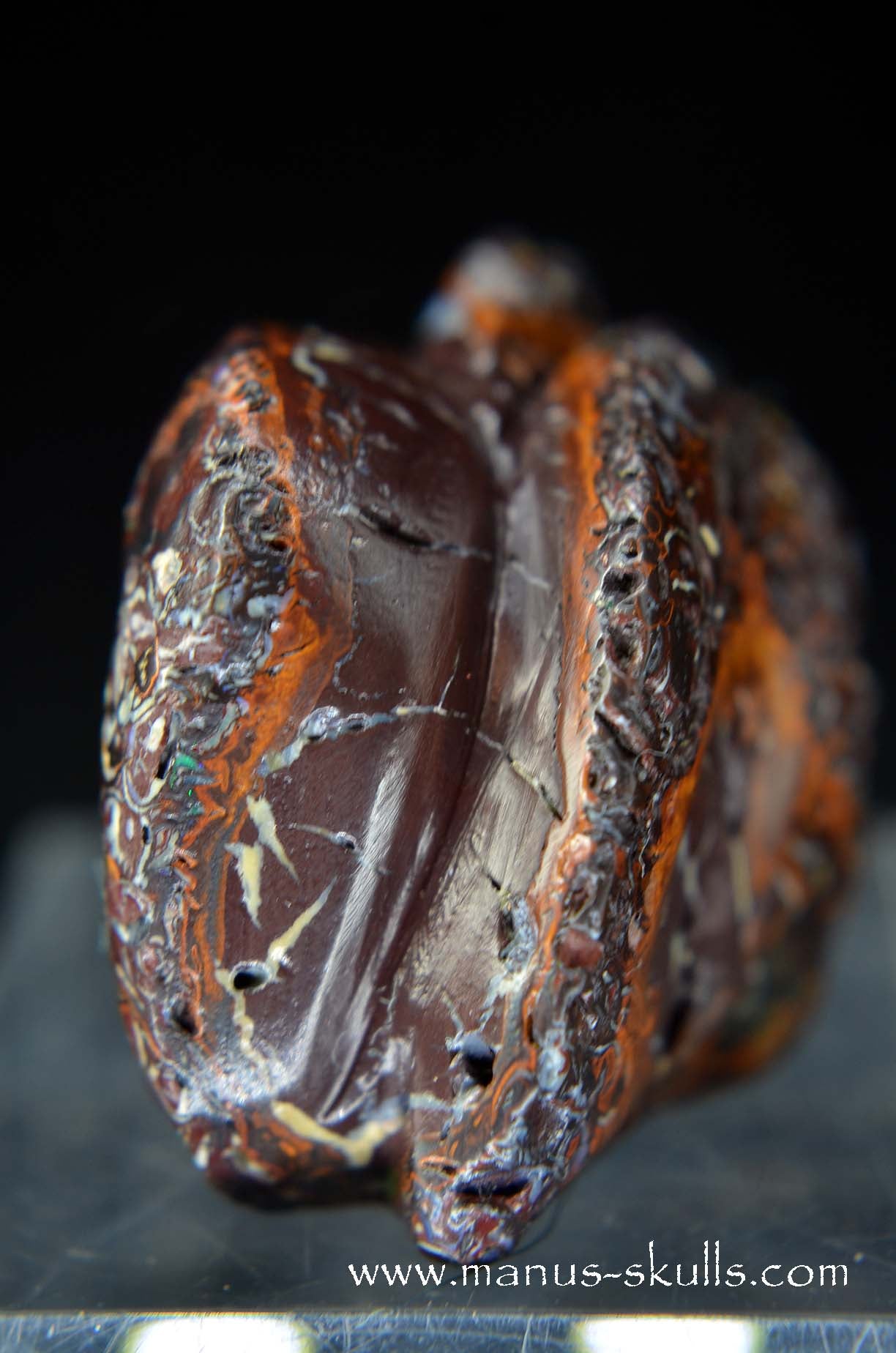 Yowah Nut Opal Dragon