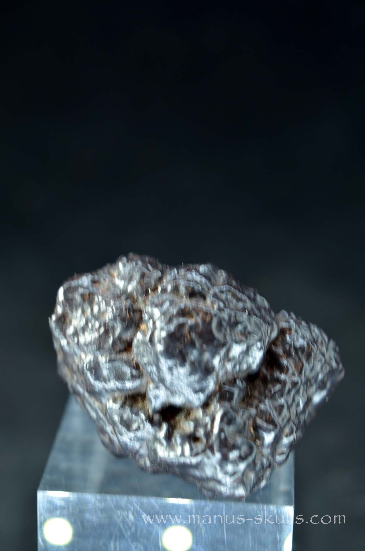 Prophecy Stone Evolian #02