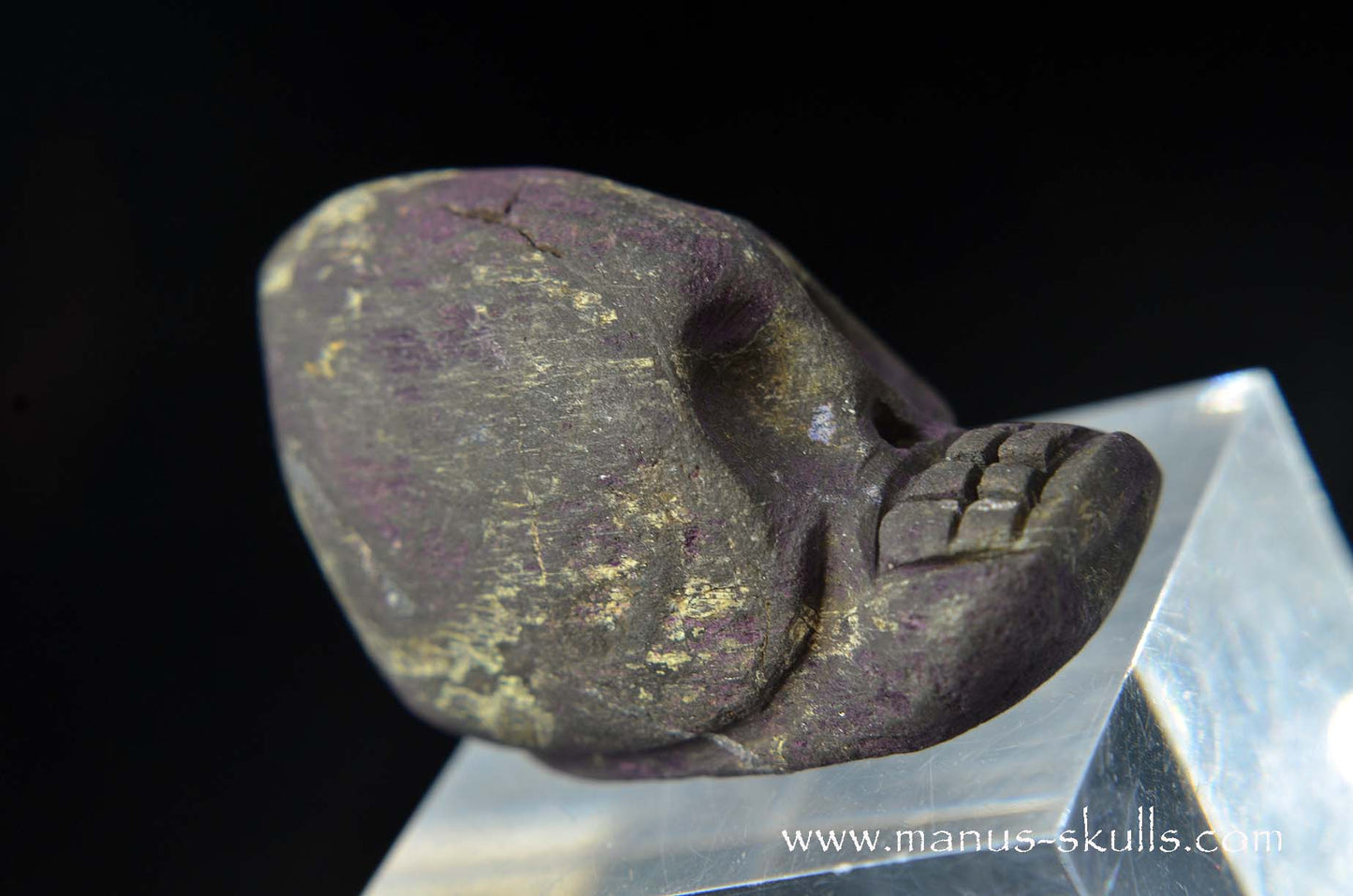 Purpurite Evolian #04