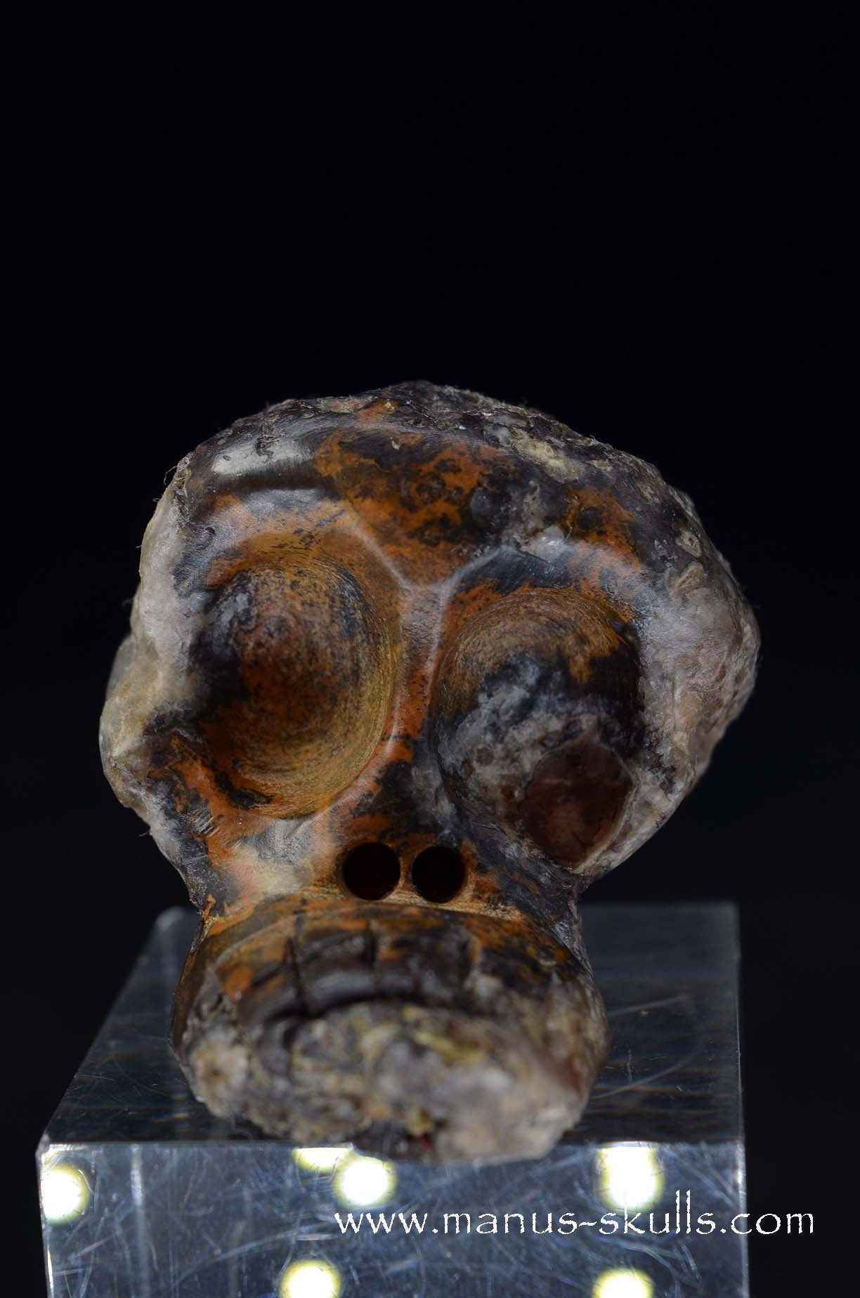 Manus skulls unique Crystal Carvings handmade skulls dragons pendants preseli bluestone tribals spiritual meaning wand Unicorn .. agate geode Evolian