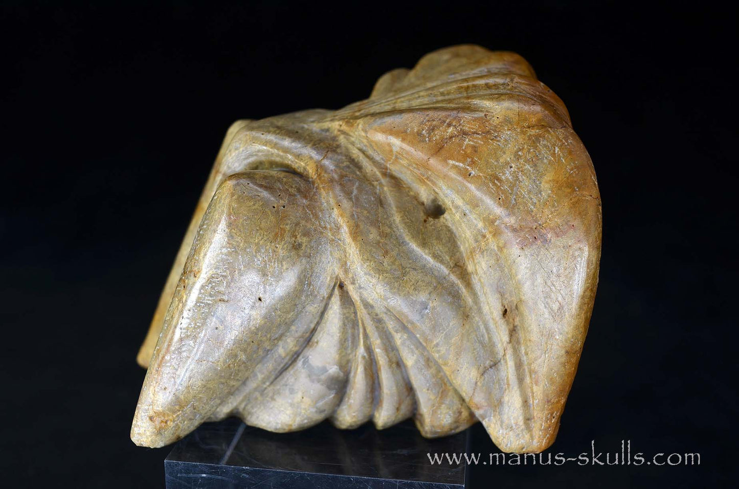 Sarsens Stone Dragon (Stonehenge Stone)