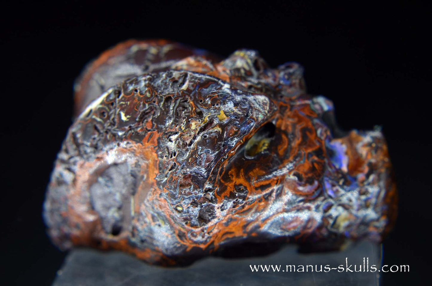 Yowah Nut Opal Dragon