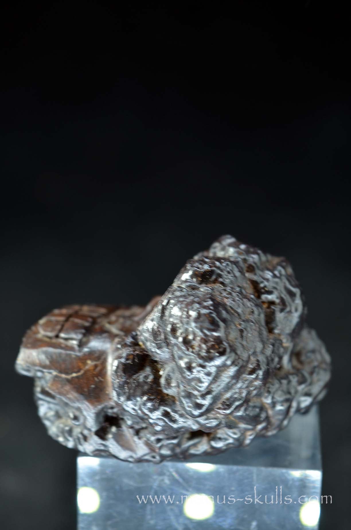 Prophecy Stone Evolian #02