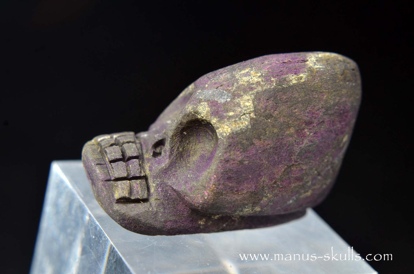 Purpurite Evolian #04