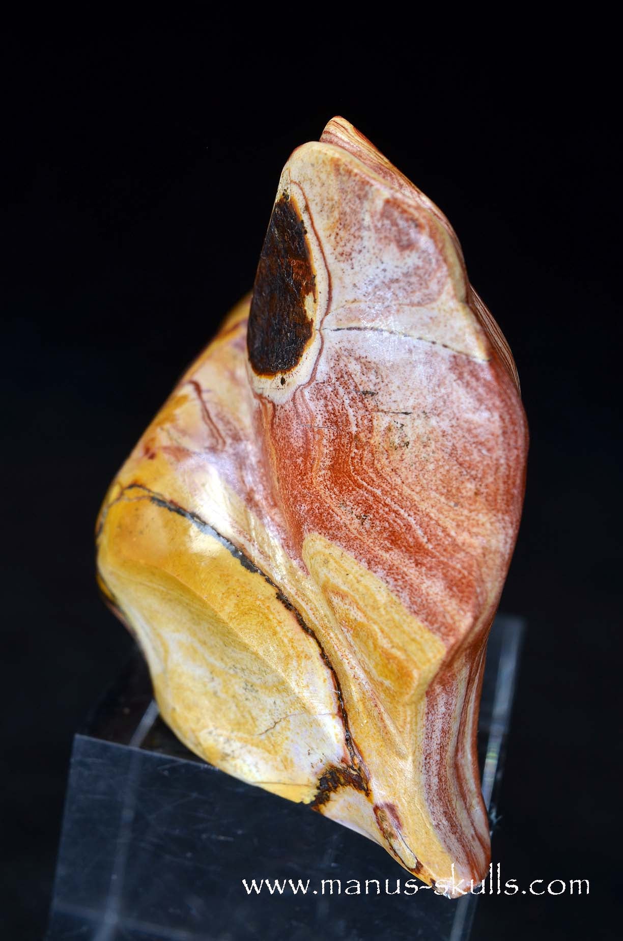 Rainbow Jasper Dragon