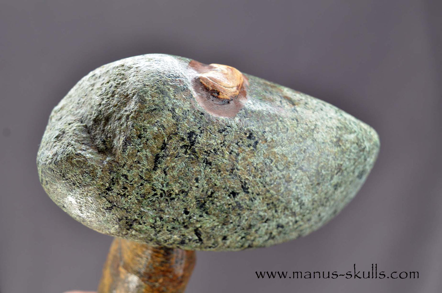 Unspotted Preseli Bluestone Neolithic Axe