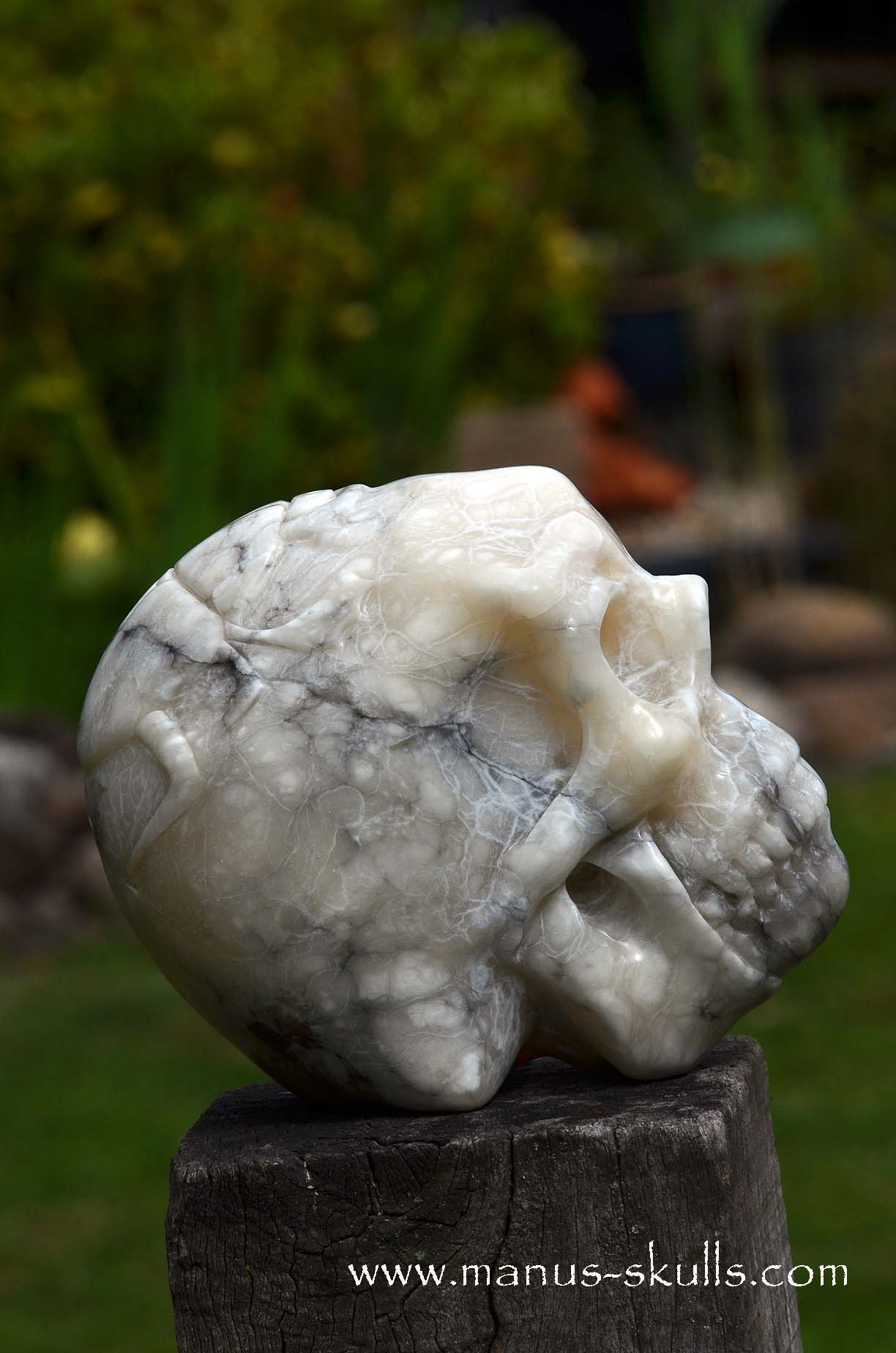 Alabaster Skull with carved Scarab Beetle ....
